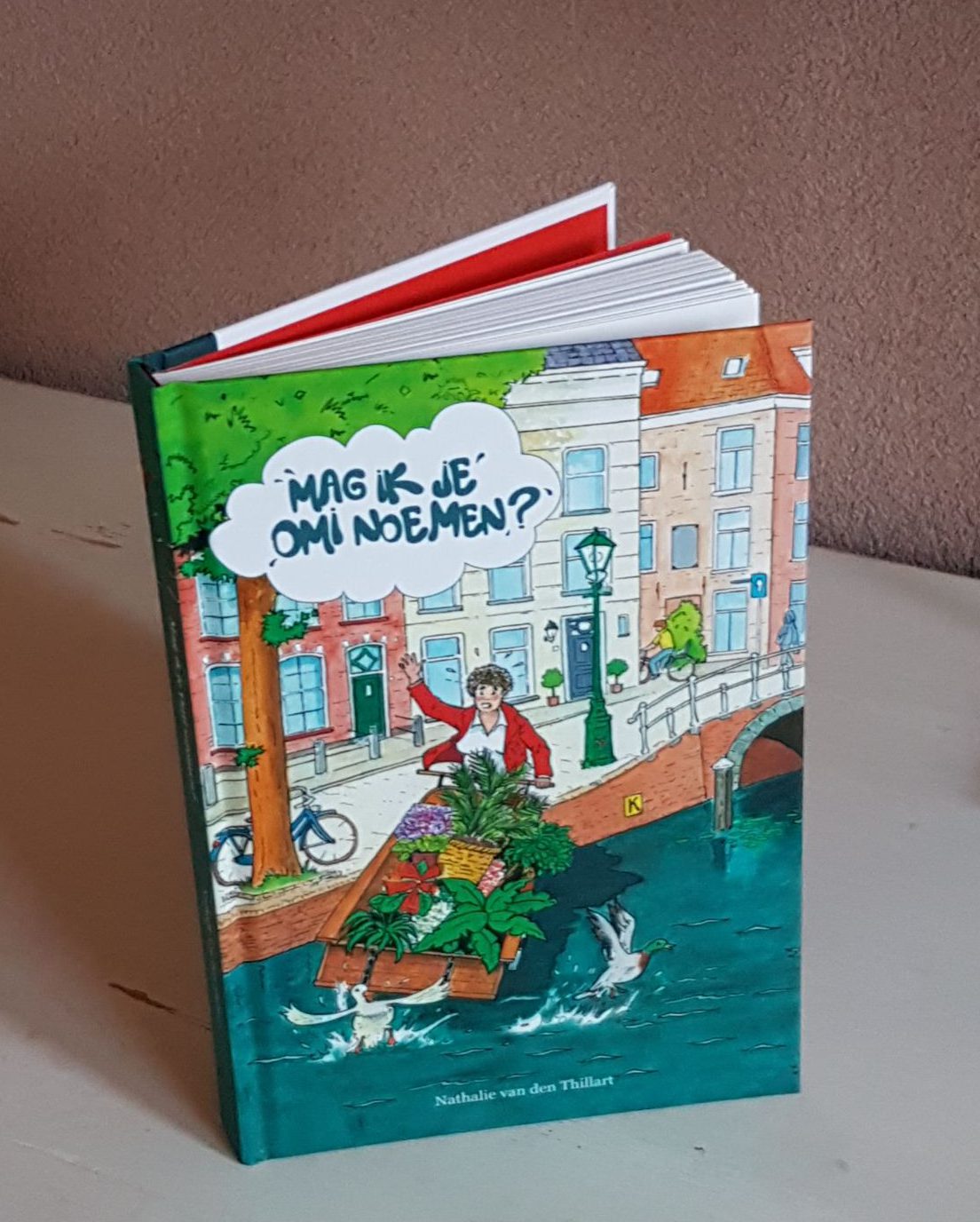 Afbeelding van het boek